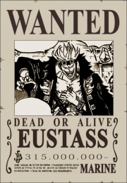 Eustass Captain KidKäpt´n der Kid Piratenbande
